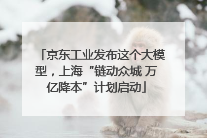 京东工业发布这个大模型，上海“链动众城 万亿降本”计划启动