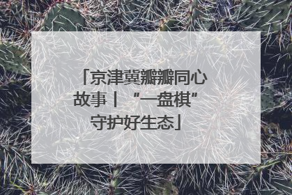 京津冀瓣瓣同心故事丨“一盘棋”守护好生态
