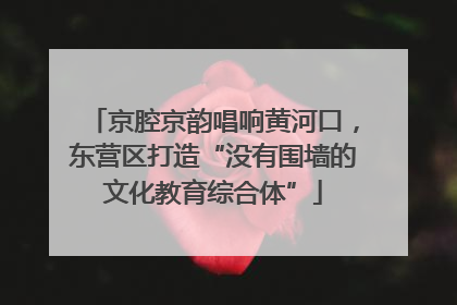 京腔京韵唱响黄河口，东营区打造“没有围墙的文化教育综合体”