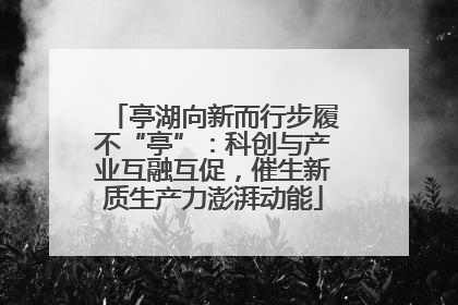 亭湖向新而行步履不“亭”：科创与产业互融互促，催生新质生产力澎湃动能