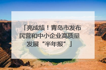 亮成绩！青岛市发布民营和中小企业高质量发展“半年报”