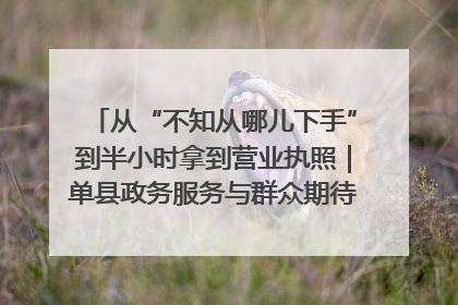 从“不知从哪儿下手”到半小时拿到营业执照｜单县政务服务与群众期待的“双向奔赴”