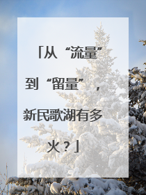 从“流量”到“留量”，新民歌湖有多火？