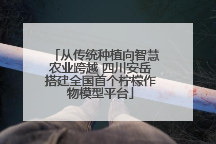 从传统种植向智慧农业跨越 四川安岳搭建全国首个柠檬作物模型平台