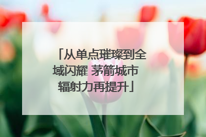 从单点璀璨到全域闪耀 茅箭城市辐射力再提升
