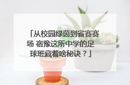 从校园绿茵到省赛赛场 宿豫这所中学的足球班藏着啥秘诀？