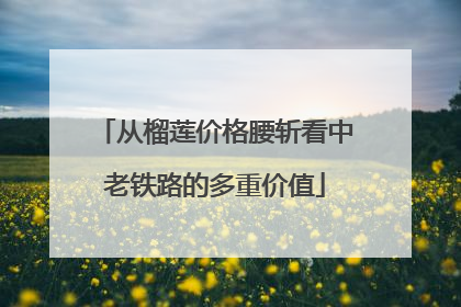 从榴莲价格腰斩看中老铁路的多重价值