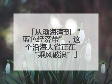 从渤海湾到 “蓝色经济带”，这个沿海大省正在 “乘风破浪”
