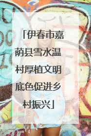伊春市嘉荫县雪水温村厚植文明底色促进乡村振兴