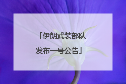 伊朗武装部队发布一号公告