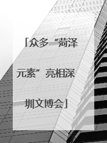 众多“菏泽元素”亮相深圳文博会