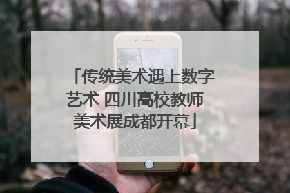 传统美术遇上数字艺术 四川高校教师美术展成都开幕