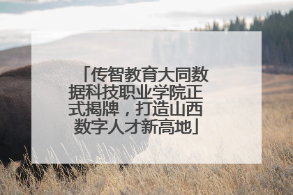 传智教育大同数据科技职业学院正式揭牌，打造山西数字人才新高地