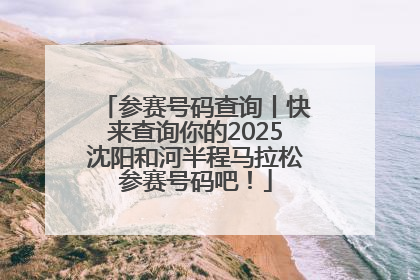 参赛号码查询丨快来查询你的2025沈阳和河半程马拉松参赛号码吧！