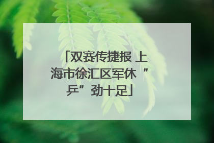 双赛传捷报 上海市徐汇区军休“乒”劲十足