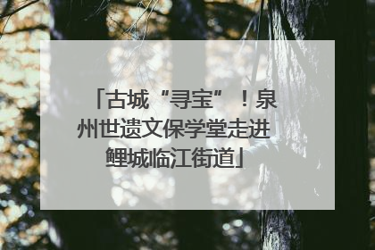 古城“寻宝”！泉州世遗文保学堂走进鲤城临江街道