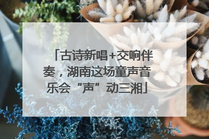 古诗新唱+交响伴奏，湖南这场童声音乐会“声”动三湘