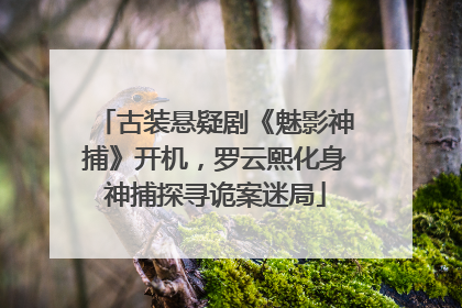 古装悬疑剧《魅影神捕》开机，罗云熙化身神捕探寻诡案迷局