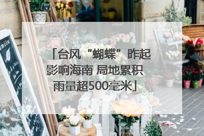 台风“蝴蝶”昨起影响海南 局地累积雨量超500毫米