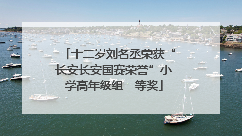 十二岁刘名丞荣获“长安长安国赛荣誉”小学高年级组一等奖