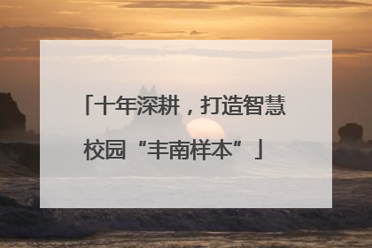十年深耕，打造智慧校园“丰南样本”