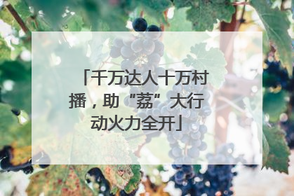 千万达人十万村播，助“荔”大行动火力全开