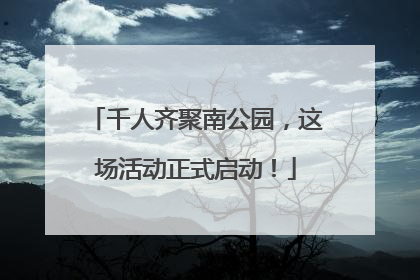 千人齐聚南公园，这场活动正式启动！