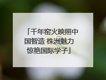 千年窑火映照中国智造 株洲魅力惊艳国际学子