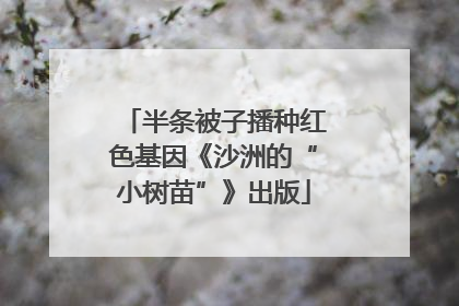 半条被子播种红色基因《沙洲的“小树苗”》出版