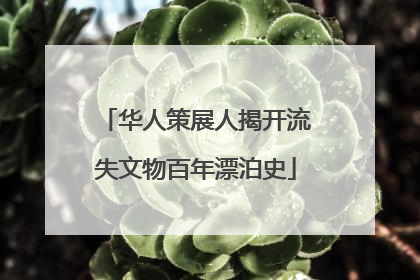 华人策展人揭开流失文物百年漂泊史
