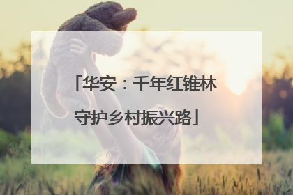 华安：千年红锥林守护乡村振兴路
