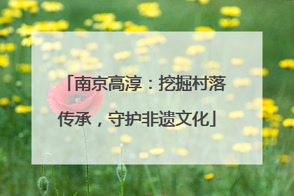 南京高淳：挖掘村落传承，守护非遗文化