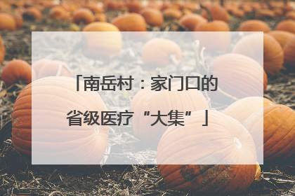 南岳村：家门口的省级医疗“大集”