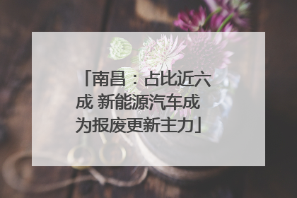 南昌：占比近六成 新能源汽车成为报废更新主力
