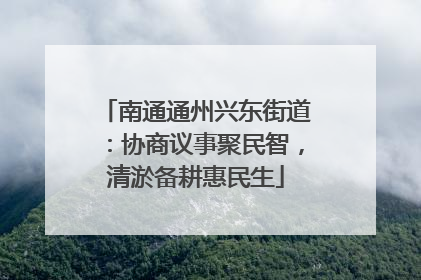 南通通州兴东街道：协商议事聚民智，清淤备耕惠民生