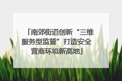 南郊街道创新“三维服务型监管”打造安全营商环境新高地