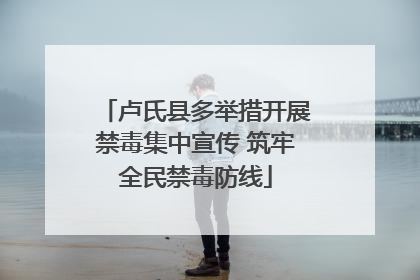 卢氏县多举措开展禁毒集中宣传 筑牢全民禁毒防线