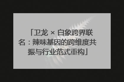 卫龙 × 白象跨界联名：辣味基因的跨维度共振与行业范式重构