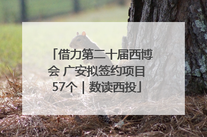 借力第二十届西博会 广安拟签约项目57个｜数读西投