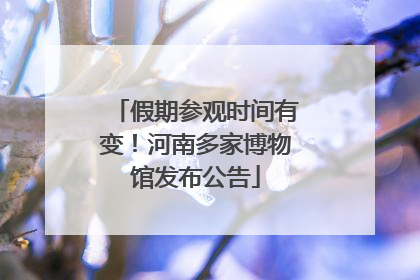 假期参观时间有变！河南多家博物馆发布公告