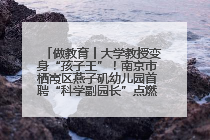 做教育︱大学教授变身“孩子王”！南京市栖霞区燕子矶幼儿园首聘“科学副园长”点燃萌娃科学梦