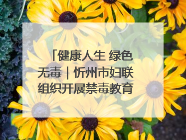 健康人生 绿色无毒｜忻州市妇联组织开展禁毒教育参观学习并开展主题党日活动
