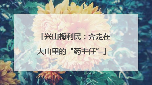 兴山梅利民：奔走在大山里的“药主任”