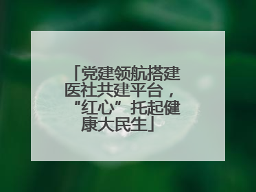 党建领航搭建医社共建平台，“红心”托起健康大民生