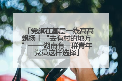 党旗在基层一线高高飘扬丨“去有村的地方”——湖南有一群青年党员这样选择