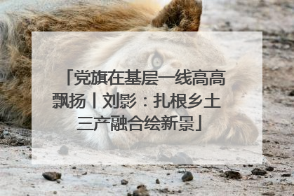 党旗在基层一线高高飘扬丨刘影：扎根乡土 三产融合绘新景