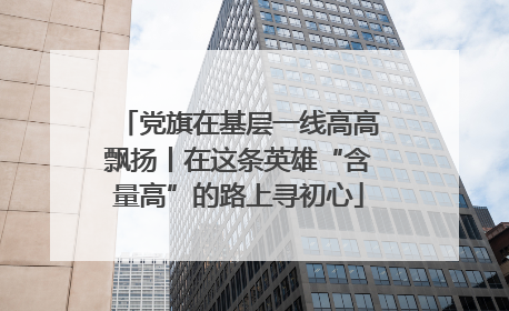 党旗在基层一线高高飘扬丨在这条英雄“含量高”的路上寻初心