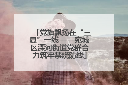 党旗飘扬在“三夏”一线——宛城区溧河街道党群合力筑牢禁烧防线