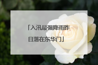 入汛最强降雨昨日落在东华门