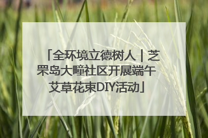 全环境立德树人｜芝罘岛大疃社区开展端午艾草花束DIY活动